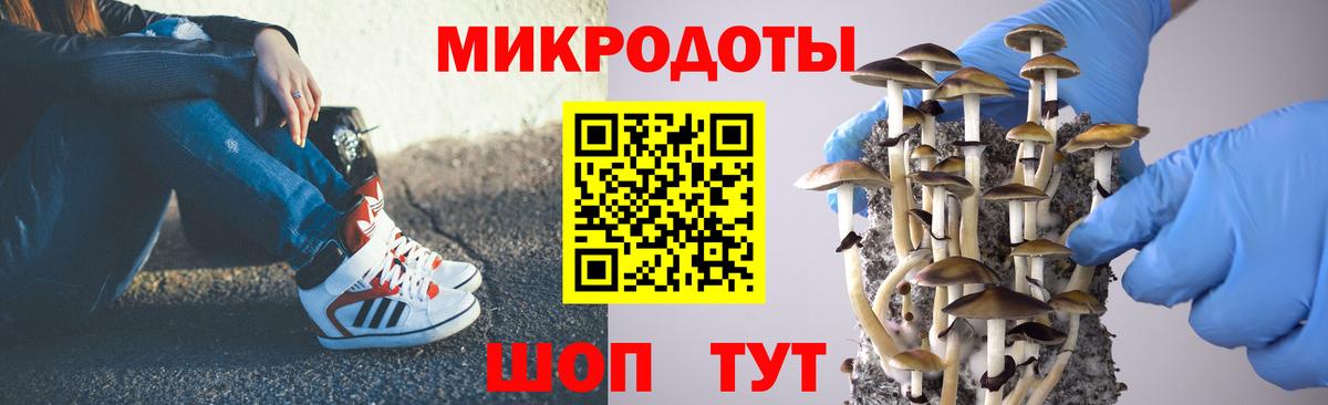 Выборг  Галлюциногенные грибы мухоморы  Вход с VPN 
